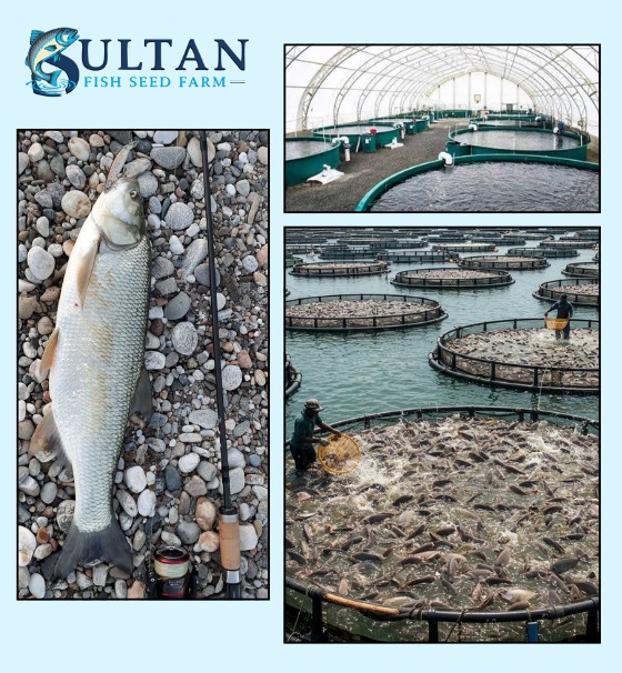 WhatsApp Image 2025 12 12 at 5.52.29 PM