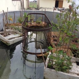 Organic Farming