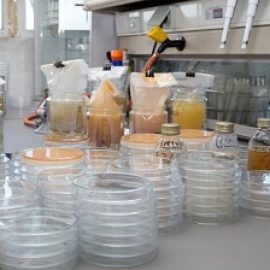 Food Testing & Quality Control